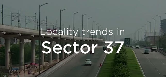 Sector 37 Faridabad: Location, Connectivity, Nearby Areas