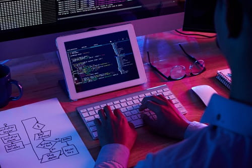 High-Paying Freelance Tech Career Options After BCA