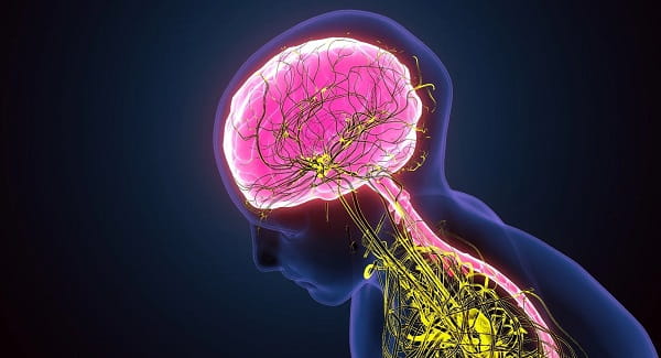 Nervous System Regulation: 5 Ways to Reset Your Body Today