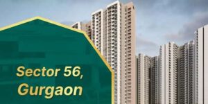 Sector 56 Gurgaon: Location, Connectivity, and Nearby Areas
