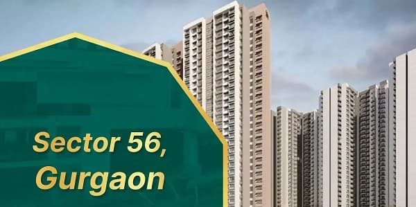 Sector 56 Gurgaon