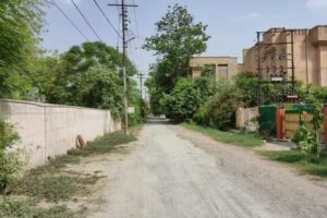 Sector 25 Noida: Location, Connectivity, and Nearby Areas