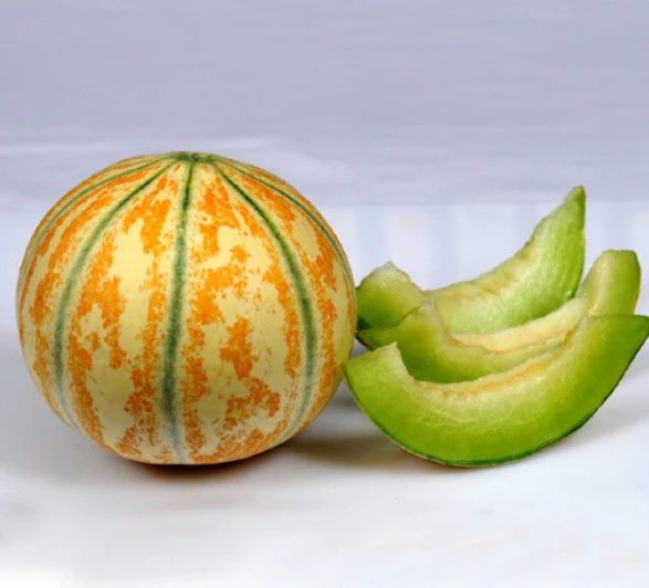 Kharbuja